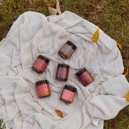 Fall Collection.