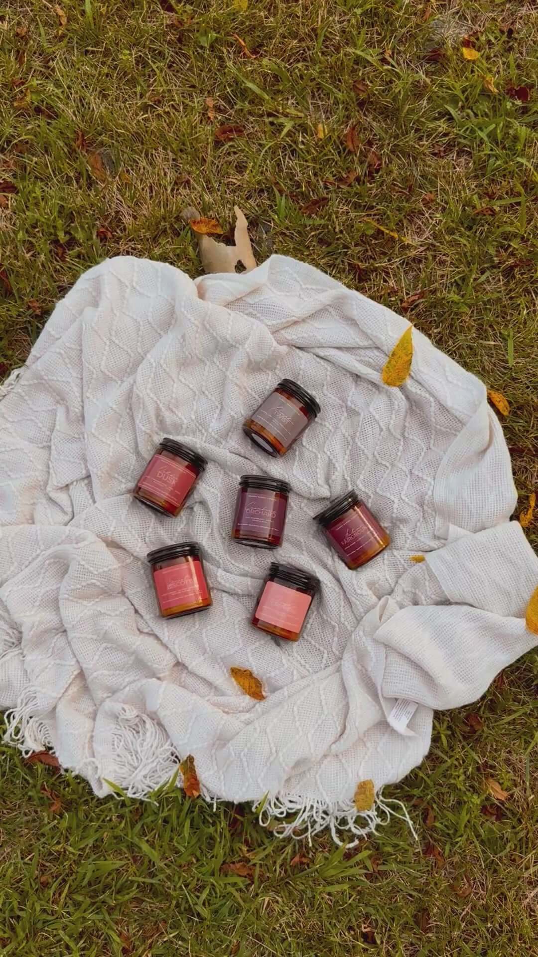 Fall Collection.